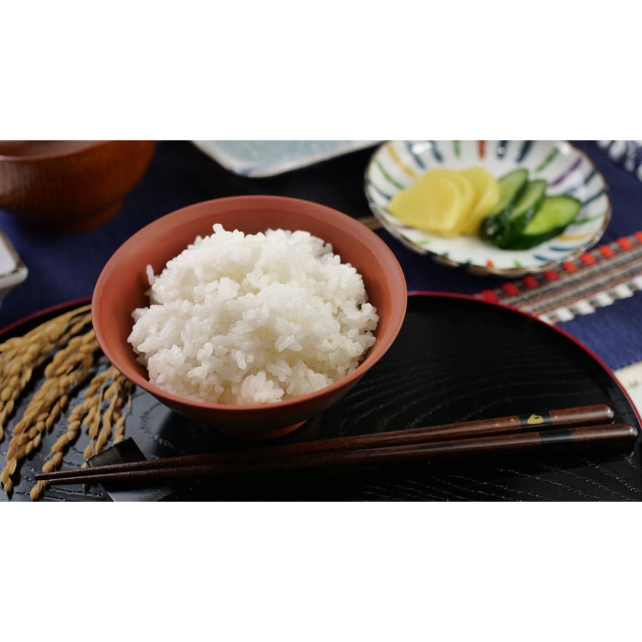 【令和7年産新米】＜食の宝島 佐渡＞特別栽培米「佐渡島産にじのきらめき」白米5kg