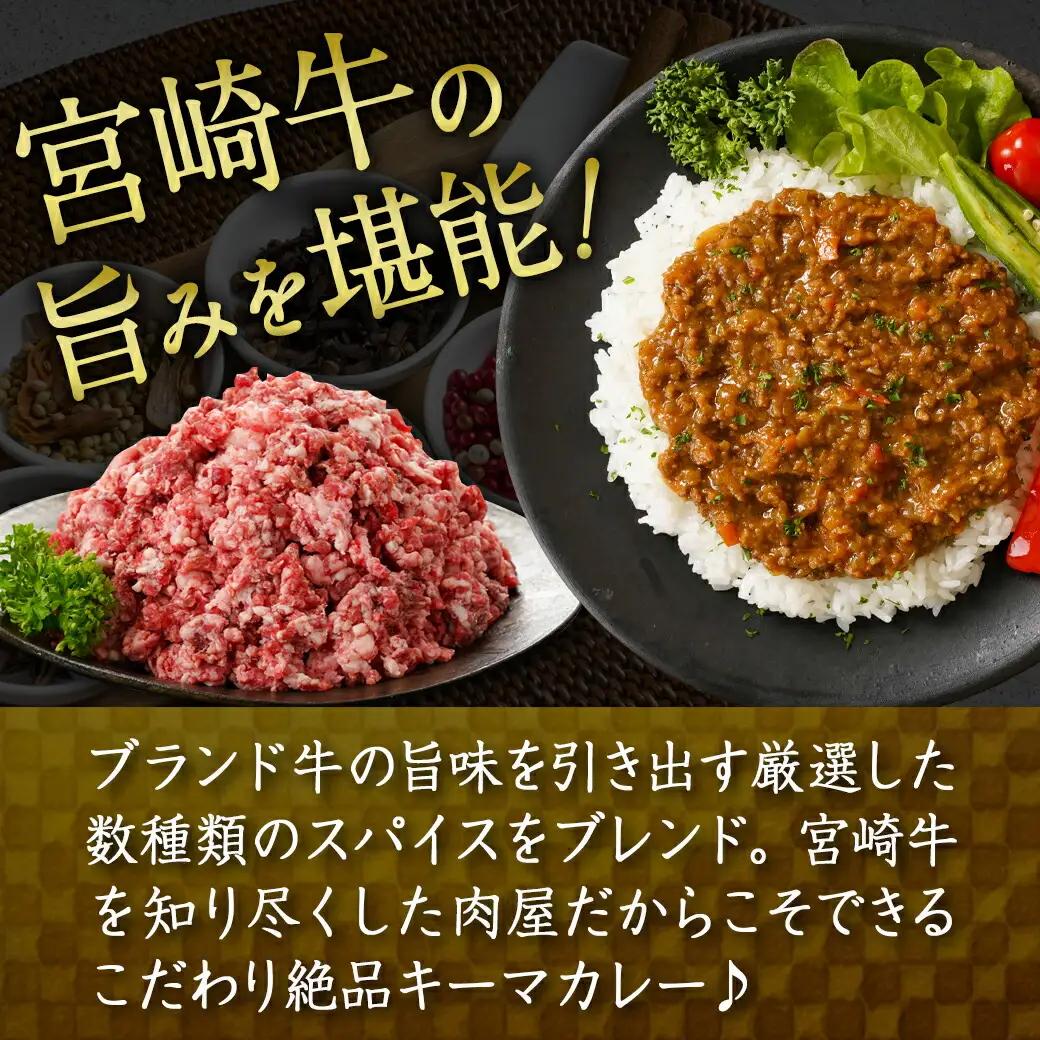 絶品!焼き肉屋の宮崎牛キーマカレー(中辛)〔AA-7707〕_(都城市) 宮崎牛キーマカレー 中辛 200g×2パック 宮崎牛 湯せん