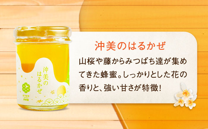 【全3回定期便】江田島産100％ はちみつ 沖美のはるかぜ120g×6本セット ハチミツ 蜂蜜 国産 広島 江田島