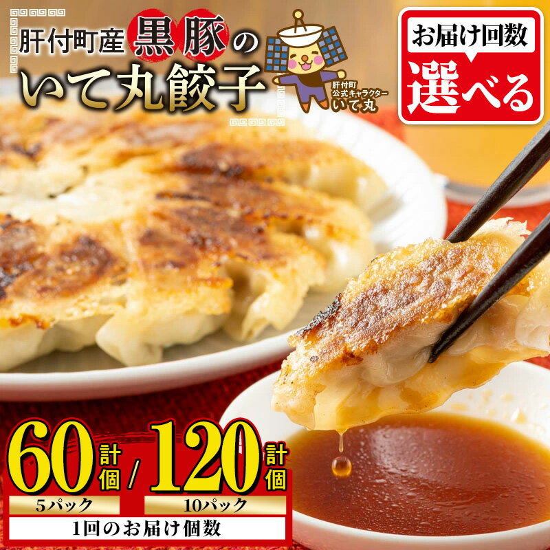 【ふるさと納税】＜お届け回数が選べる＞鹿児島県 肝付町産 黒豚 餃子 ギョーザ ＜1パック 12個入り＞ (計60個 or 計120個) ≪ パリッ と もっちり で ジューシー ≫ ぎょうざ たれ付き パリパリ もちもち ジューシー おかず 冷凍 豚肉 国産 定期便 全3回 連続月 【財宝】