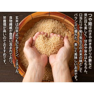ふるさと納税 鶴岡市 【令和6年産】山形県庄内産 小池半左衛門のお米 特別栽培米 つや姫 玄米 5kg×2袋 計10kg |  | 01