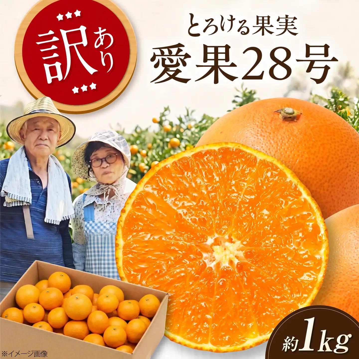 みかん 訳あり 愛果28号 約1kg【12月上旬から2月下旬まで順次発送】 / フルーツ 果物 蜜柑 ミカン オレンジ 訳あり 訳アリ 小玉 甘い 先行予約 約1kg 愛媛 / 愛媛県砥部町/西岡さん家のみかん園[BJBG006]