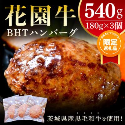 【ふるプレ限定品】花園牛　BHTハンバーグ 180ｇ×3個【ハンバーグ 肉 お肉 贅沢 冷凍 茨城県 北茨城市】(BY002)