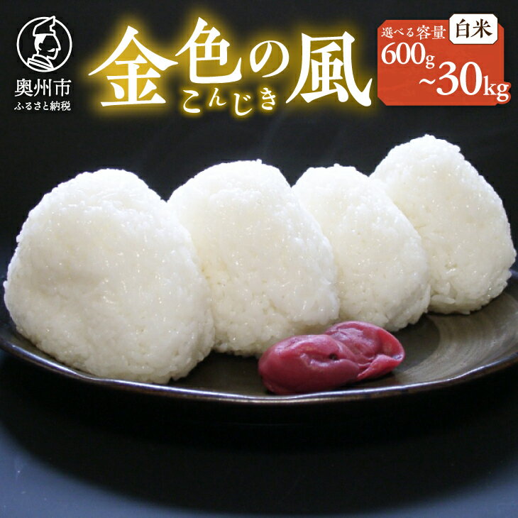 【ふるさと納税】 新登場の高級米 令和7年産 岩手県奥州市産 金色の風 白米 選べる内容量 600g〜30kg 【7日以内発送】 おこめ ごはん ブランド米 [AC027]