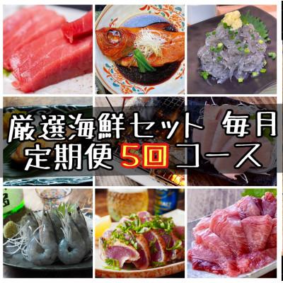 ふるさと納税 小田原市 【毎月定期便】特選!海鮮セット!日本酒、焼酎のアテにピッタリ!【神奈川県小田原市早川】全5回