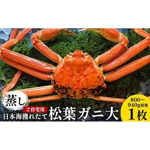116.【蒸し】訳あり ご自宅用 日本海獲れたて松葉ガニ 大　800～940g前後　１枚◇ ≪かに カニ 蟹 ズワイガニ≫　※2026年11月上旬～2027年3月上旬頃に順次発送予定