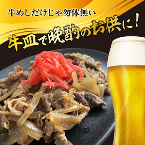 【5月20日より順次発送予定】松屋×エスフーズ　コラボ　牛めしの具×１０Ｐ　牛めし　松屋　牛肉　冷凍　エスフーズ　新生活　夜食　パック
