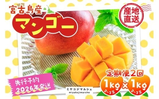 
            JH003《先行予約 2026年発送》宮古島産マンゴー（1kg×定期便2回）【（株）フラモン】
          