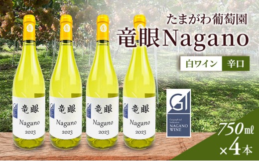 
                  ワイン　竜眼Nagano　【GI長野】認定　750ｍｌ×4本 | 白ワイン お酒 酒 竜眼 長野市産 人気 おすすめ 辛口 フルーティー ワイナリー 葡萄 ギフト プレゼント 家飲み 飲み比べ 送料無料 長野県 長野市 信州 信濃 ふるさと納税
                