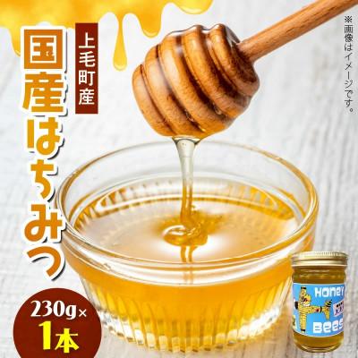 ふるさと納税 上毛町 国産はちみつ(上毛町産)230g×1本
