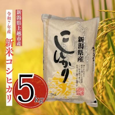 ふるさと納税 上越市 【令和7年産 新米】従来コシヒカリ (精米)5kg(新潟県上越市産)