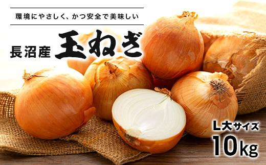 【環境に優しくおいしい！！】北海道長沼産玉ねぎＬ大サイズ10kg※11月上旬より順次発送