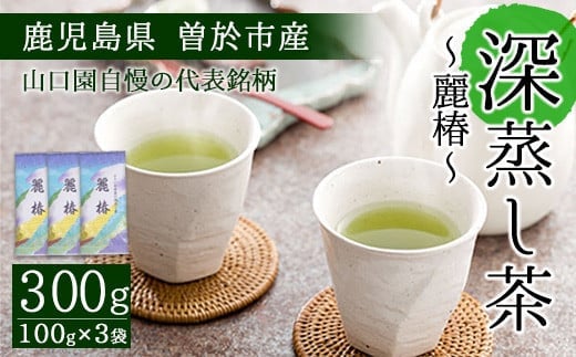 
										
										鹿児島県曽於市産 小さいお茶屋の深蒸し茶?麗椿?(茶葉100g×3本・合計300g) 国産 緑茶 深蒸し茶【お茶の山口園】A186-v01
									