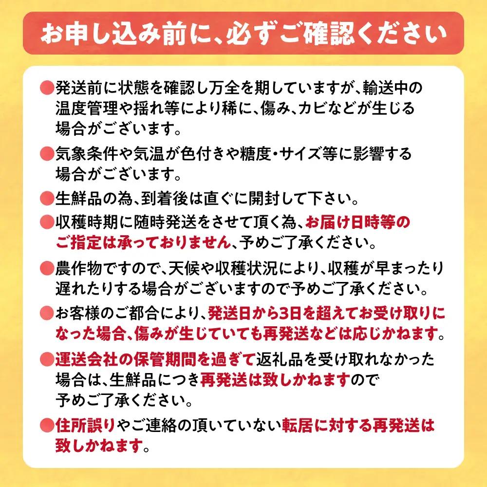 とうもろこし アフター保障付き 20本 北海道 当別町 とうもろこし