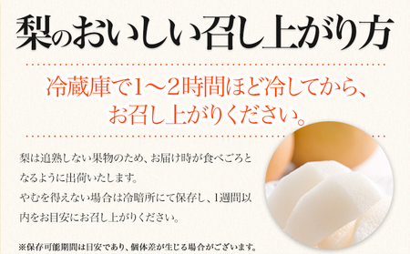 先行予約 梨 荒尾梨 梨予約 約4kg なし フルーツ 果物 新鮮《2024年8月下旬‐11月中旬頃出荷》訳あり 熊本県 荒尾市産 デザート 旬の梨 幸水 豊水 あきづき 他4種 合計7種のいずれかを