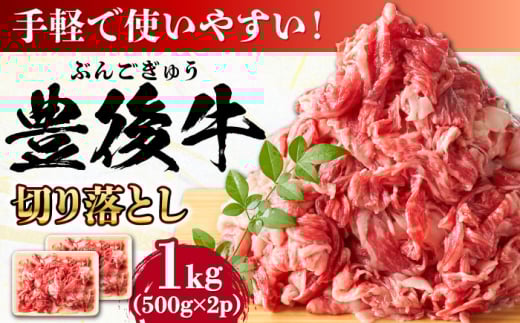 【 小分けで便利！】おおいた豊後牛 牛肉 切り落とし 1kg (500g×2)  日田市 / 株式会社MEAT PLUS 牛肉 おおいた豊後牛 おおいた 豊後牛 黒毛和牛 赤身 薄切り 切り落とし 和牛 [AREI003]