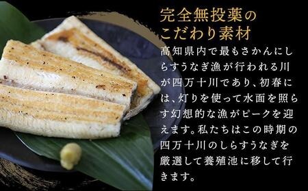 極上国産うなぎ四万十桜　白焼き約140g×3尾 | うなぎ 四万十うなぎ 高知県産うなぎ 厳選うなぎ