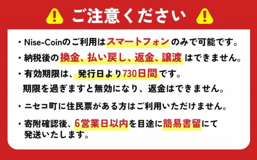 ニセコ町e街ギフト Nise-Coin 900,000円分