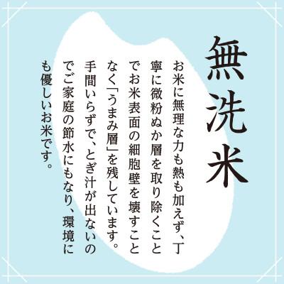 ふるさと納税 魚沼市 「令和8年産」雪室貯蔵米　魚沼産コシヒカリ無洗米2.5kg |  | 01