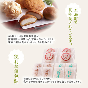 和菓子づくし 12個 ／ 饅頭 最中 丸ぼうろ 和菓子【A055】