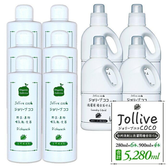 【ふるさと納税】 洗剤 ジョリーブココ台所洗剤、洗濯用液体洗剤セット（280mL×6本、900mL×4本）