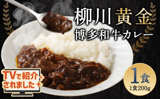 柳川黄金博多和牛カレー 1食分（200g）【TVで話題!!】 柳川 黄金 博多 和牛 カレー お肉 肉 牛肉 カレーライス ルー 黄金カレー 国産 200g 1箱