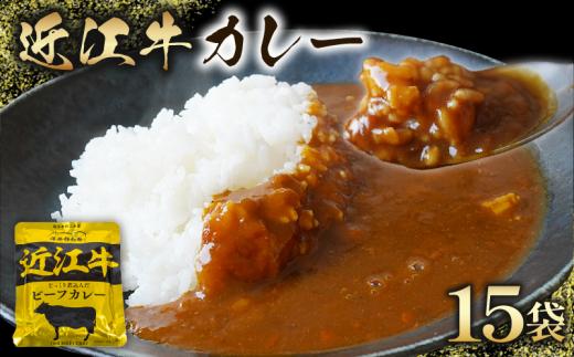 近江牛 カレー 160g×15袋セット 【 レトルト カレー 近江牛 カレー 黒毛和牛 牛肉 2400g 肉 ギフト 自宅用 高級 黒毛和牛 国産 ごはんのお供 ふるさと納税 10000円 ブランド牛