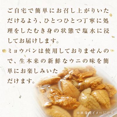ふるさと納税 石巻市 生うに 宮城県産 塩水うに 160g (80g×2) 冷蔵 ウニ ミョウバン不使用 |  | 01
