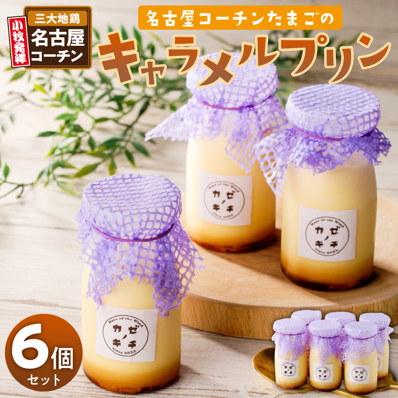 名古屋コーチンたまごのキャラメルプリン　6個セット［075K11］