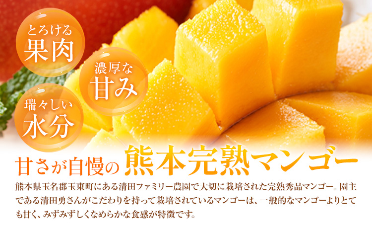 くまもと完熟マンゴー 2～3玉(約1kg～1.2kg前後)『清田ファミリー農園』 秀品【日付指定不可】《5月下旬-8月末頃出荷》---gkt_kyfm_2_1kg---