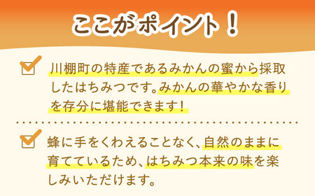 はちみつ みかん蜜 500g [OCY003] / 蜂蜜 ハチミツ 