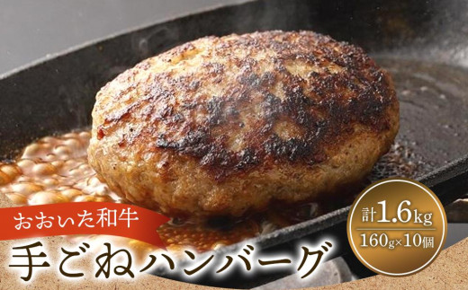 
おおいた和牛＆大分県産豚 特製 手ごね ハンバーグ 160g×10個 計1.6kg
