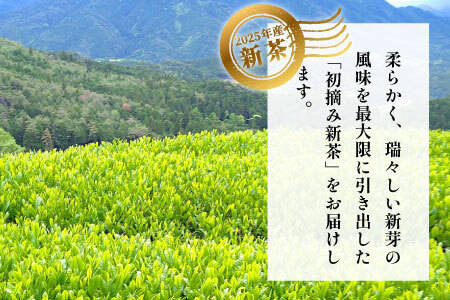 【2025年産新茶・先行受付】 初摘み新茶 美濃白川茶 50g 初摘み 新茶 東白川村産 岐阜県産 お茶 日本茶 ホット アイス おためし リックポスト 茶広農園