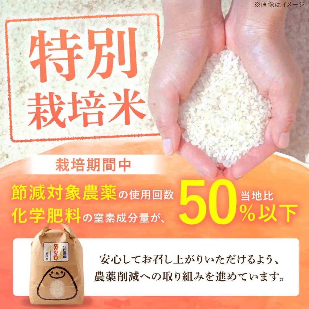 さがびより 白米 2kg /江口農園[UBF011] 白米