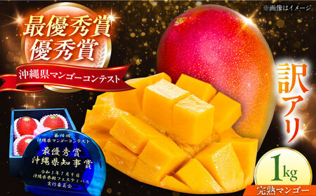 マンゴー 訳あり【2026年発送 先行予約】仲村農園マンゴー 1kg BCCU004