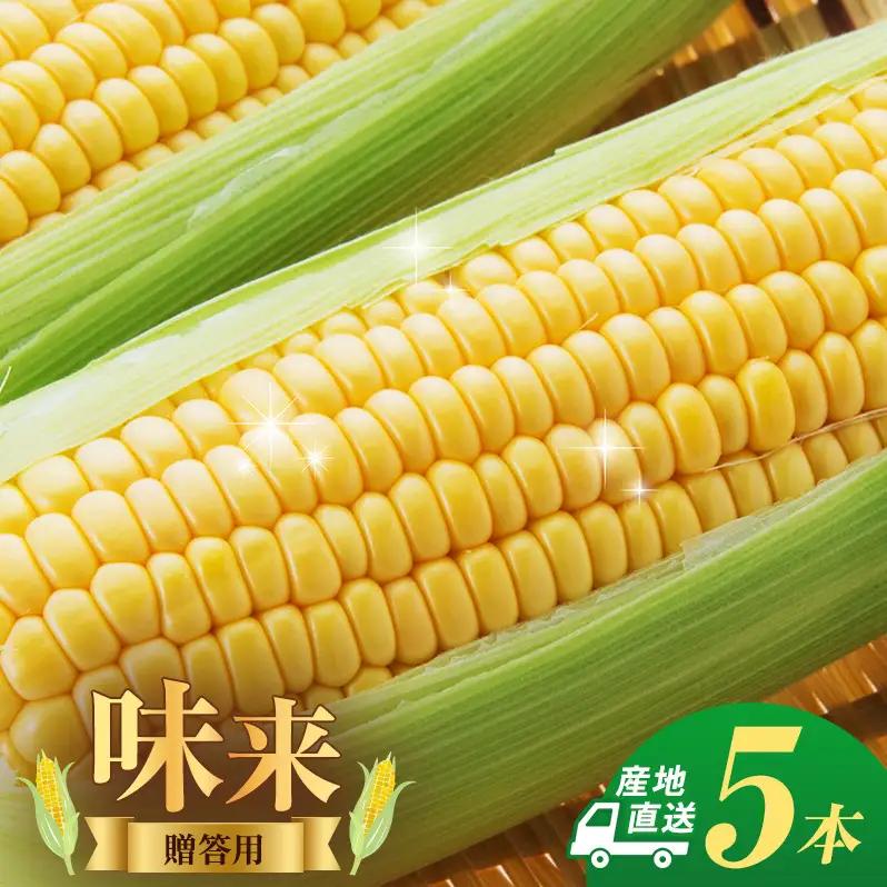 とうもろこし 味来 贈答用 5本 トウモロコシ
