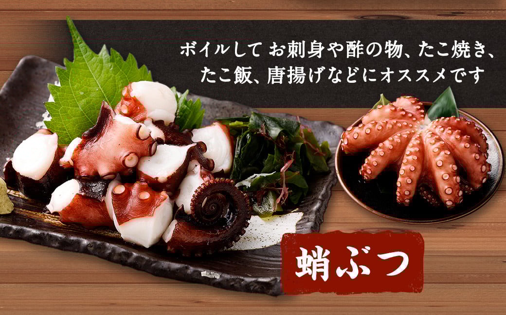 大阪産 泉タコ （生たこ） 650g （1杯～3杯）×1袋 と 茎わかめ 佃煮 180gの セット 魚介類 海鮮 冷凍