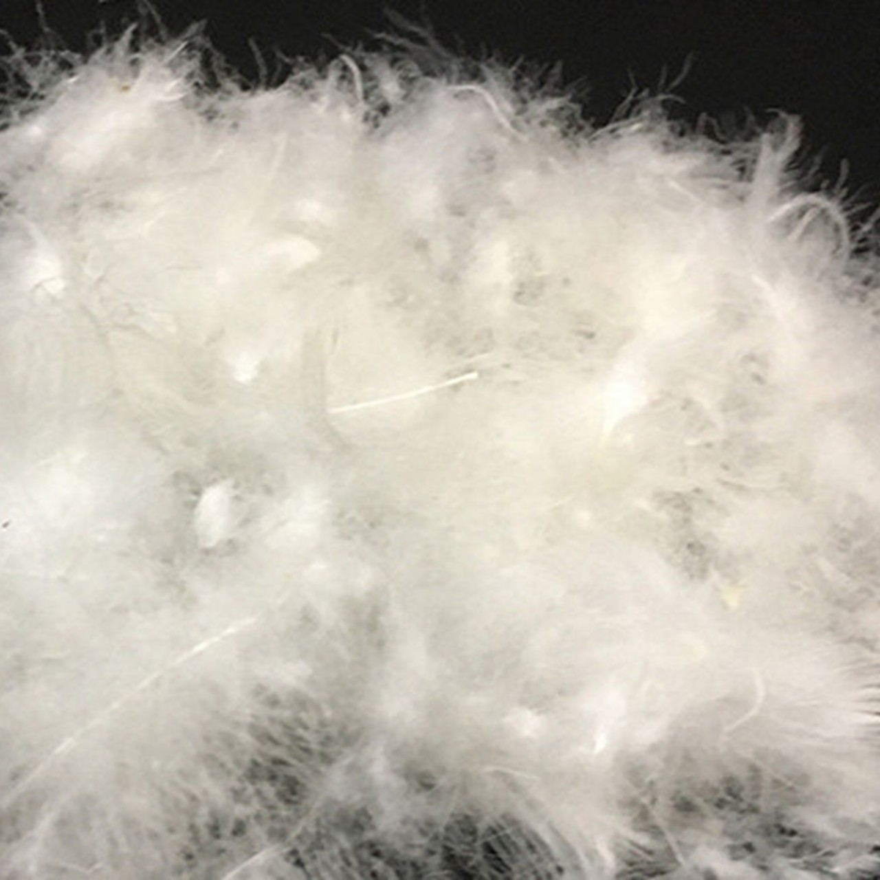 羽毛合掛けふとん（抗ウイルス・抗菌加工）　シングル　ホワイトダウン８５％ 掛ふとんカバー付き（抗ウイルス・抗菌加工）アイボリー