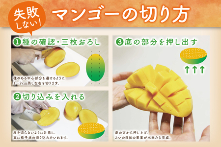 【2025年発送】キーツマンゴー 2～3玉(約2kg)(化粧箱)｜沖縄県 豊見城市 マンゴー キーツマンゴー フルーツ 果物 くだもの おきなわマンゴー ギフト 贈り物 化粧箱入り 先行予約(AE01