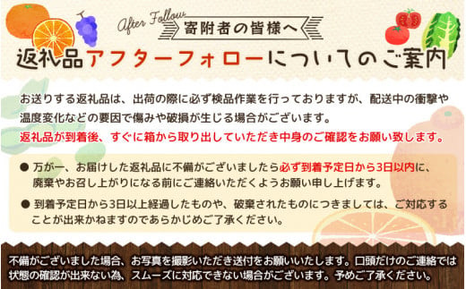 ポンカン 約5kg/サイズおまかせ　※2025年1月下旬～2月下旬頃に順次発送予定(お届け日指定不可)　紀伊国屋文左衛門本舗　【sutb451A】