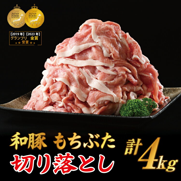 【ふるさと納税】和豚 もちぶた 切り落し 4kgセット (400g×10パック) ｜和豚もちぶた 切り落とし肉 ポーク 豚肉 切り落とし 小分け 国産 栃木県 壬生町◇