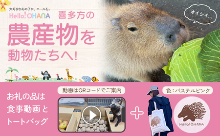 【動物推し活サービス】全国の動物たちに"喜多方の農産品"をプレゼント！〜動物デザインの「食事動画」「トートバッグ」が付いてきます〜　[カラー:パステルピンク]　【07208-0729-B】