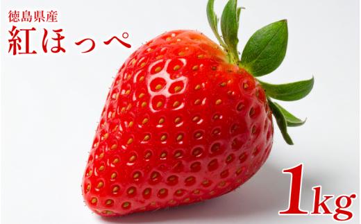 いちご 1㎏ 紅ほっぺ 苺 イチゴ ストロベリー 数量限定 徳島県産 strawberry ichigo itigo 1月下旬より順次出荷 徳島県 9000 9000円 一万以内 10000円以内