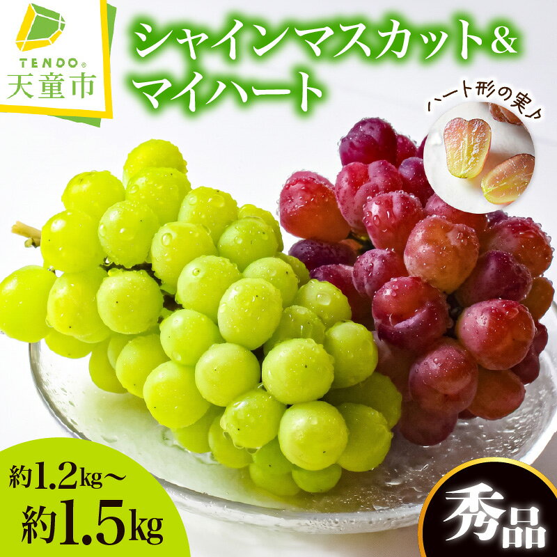 【ふるさと納税】ぶどう シャインマスカット ＆ マイハート 選べる 約 1.2kg / 約 1.5kg 令和8年産 先行予約 2026年 ブドウ 種無し セット 詰め合わせ 果物 フルーツ のし 贈答 ギフト プレゼント 秋 旬 10月 期間限定 送料無料 山形 産地直送 お取り寄せ 山形県 天童市
