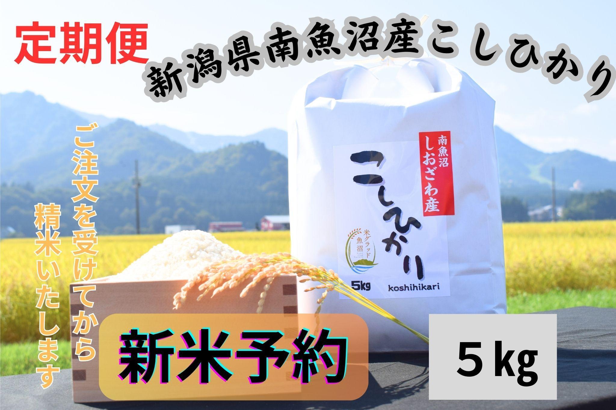 【令和8年産・新米予約・定期便】新潟県南魚沼市の豊かな自然が育んだ、極上のコシヒカリ　5kg×6か月【定期便 銘柄米 ブランド米 精米 こしひかり コシヒカリ 魚沼産】【2026年9月下旬より1ヶ月以内に順次発送予定】