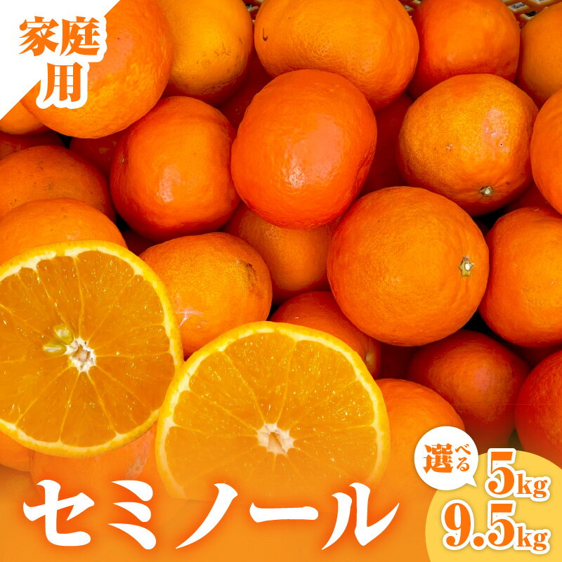 【ふるさと納税】ミカファーム 訳あり オレンジ セミノール 5kg 9.5kg 三重県 御浜町産【濃厚な甘味と程よい酸味！】