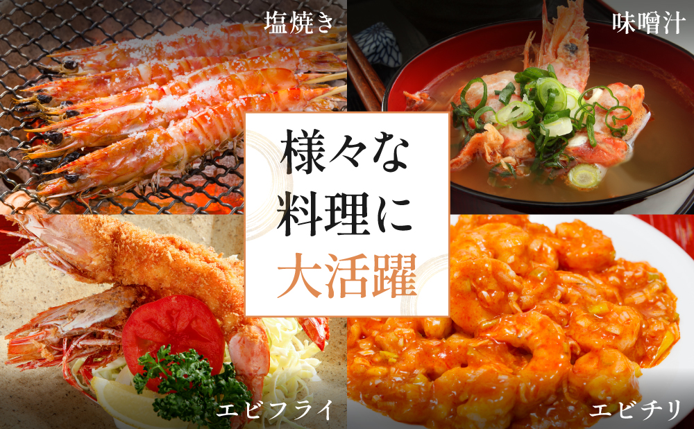 【鹿児島県産】冷凍 車海老 LLサイズ 600g （加熱用） 車エビ 車えび くるまえび 海老 エビ えび 海の幸 海鮮 九州 国産 魚介 魚介類 真空パック 天ぷら エビフライ エビチリ 冷凍 南さ