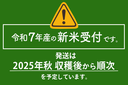 〈令和7年産〉《定期便4ヶ月》【玄米】サキホコレ 10kg (5kg×2袋) 秋田県産 特別栽培米 令和7年産 お米 毎月・隔月お届けも可