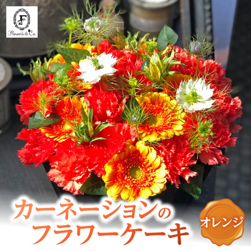 【ふるさと納税】オレンジ カーネーション ふわもこ カーネーションケーキ フラワーアレンジ 花瓶不要 そのまま飾れる アレンジメント バースデーケーキ風 プレゼント用 贈り物 還暦 記念日 お誕生日 お祝い 母の日 愛知県 碧南市 送料無料