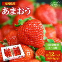 【ふるさと納税】【全3回定期便】1〜3月発送『自然環境農法』で育てた福岡県産あまおう4パック＜おおきベリー株式会社＞那珂川市 定期便 あまおう いちご 苺 果物 フルーツ [GZE004]75000 75000円